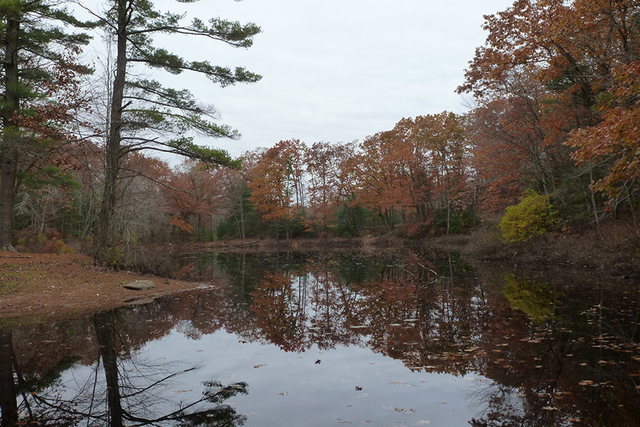Duck Pond Trail: Burrillville, Rhode Island